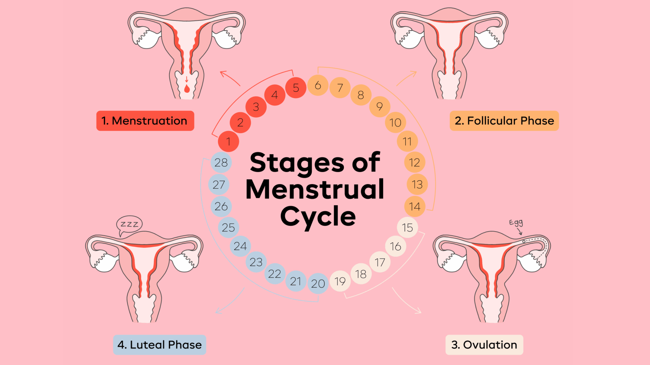 Periods Kit Banner 2