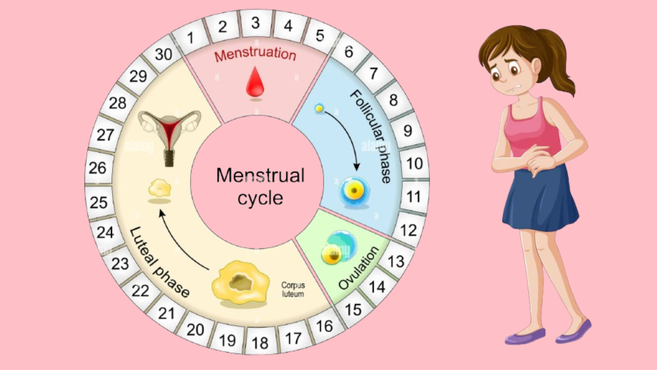 Periods Kit Banner 3